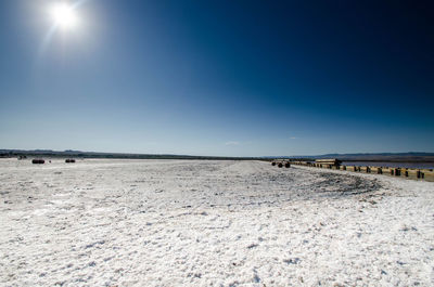 Surface level of land against clear sky on sunny day