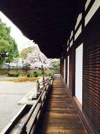 Empty walkway leading to building