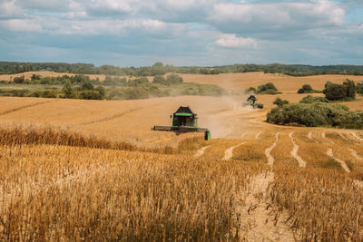 Rapeseed harvest. combine harvester in the field