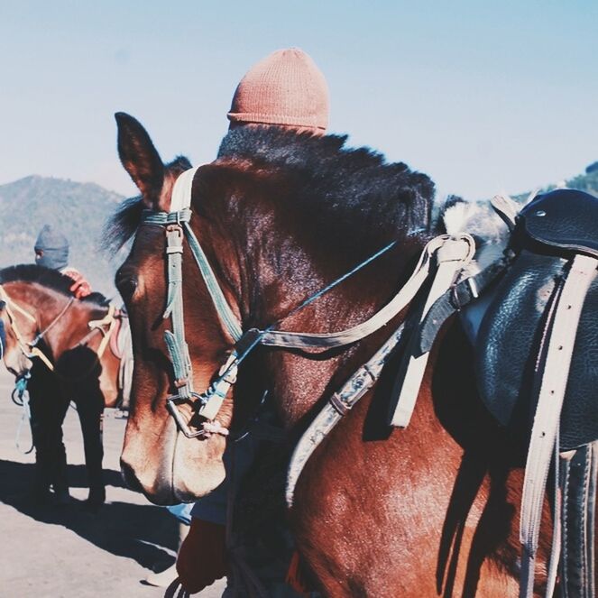 Mount Bromo, East Java