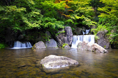 Scenic view of waterfall amidst trees