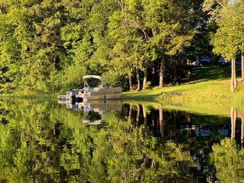 Scenic view of lake by trees