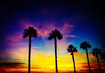 Low angle view of silhouette palm trees against sky