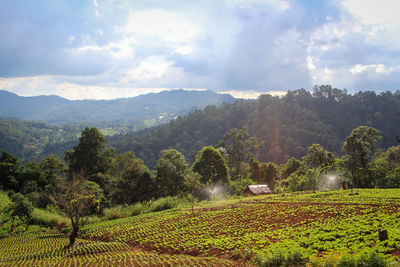 Scenic view of trees and mountains against sky