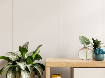 Mockup white wall with plants on cabinet wooden.3d rendering