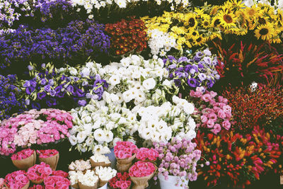 High angle view of various flowers at market