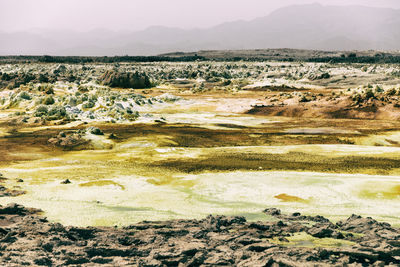 Aerial view of landscape