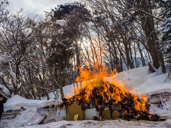 Boxes burning against trees at forest during winter