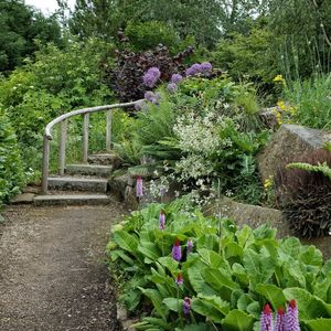 Plants and trees in park