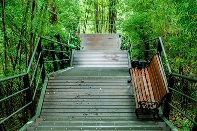 Staircase leading towards trees in forest