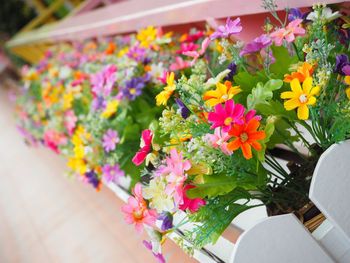 High angle view of multi colored flowers on table