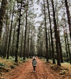 Rear view of man walking in forest