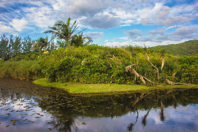 Scenic view of lake by trees against sky