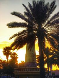 Low angle view of palm tree against sky during sunset