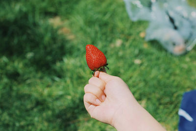 Close-up of hand holding strawberry