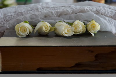 Close-up of white roses on table