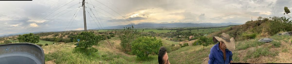 Panoramic shot of trees on field against sky