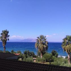 sea