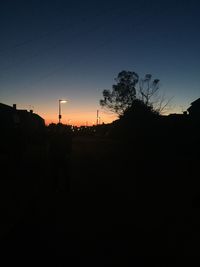 Silhouette of trees at sunset