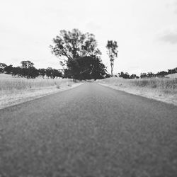 Empty road along trees