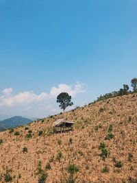 Scenic view of trees and houses against sky
