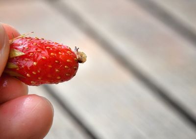 Close-up of hand holding strawberry