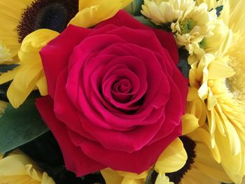 Close-up of rose bouquet