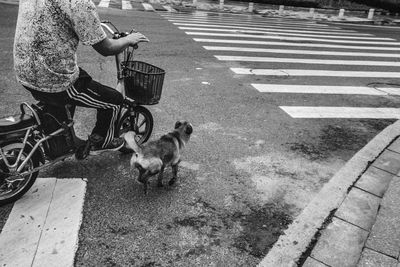 Rear view of woman with dog on road