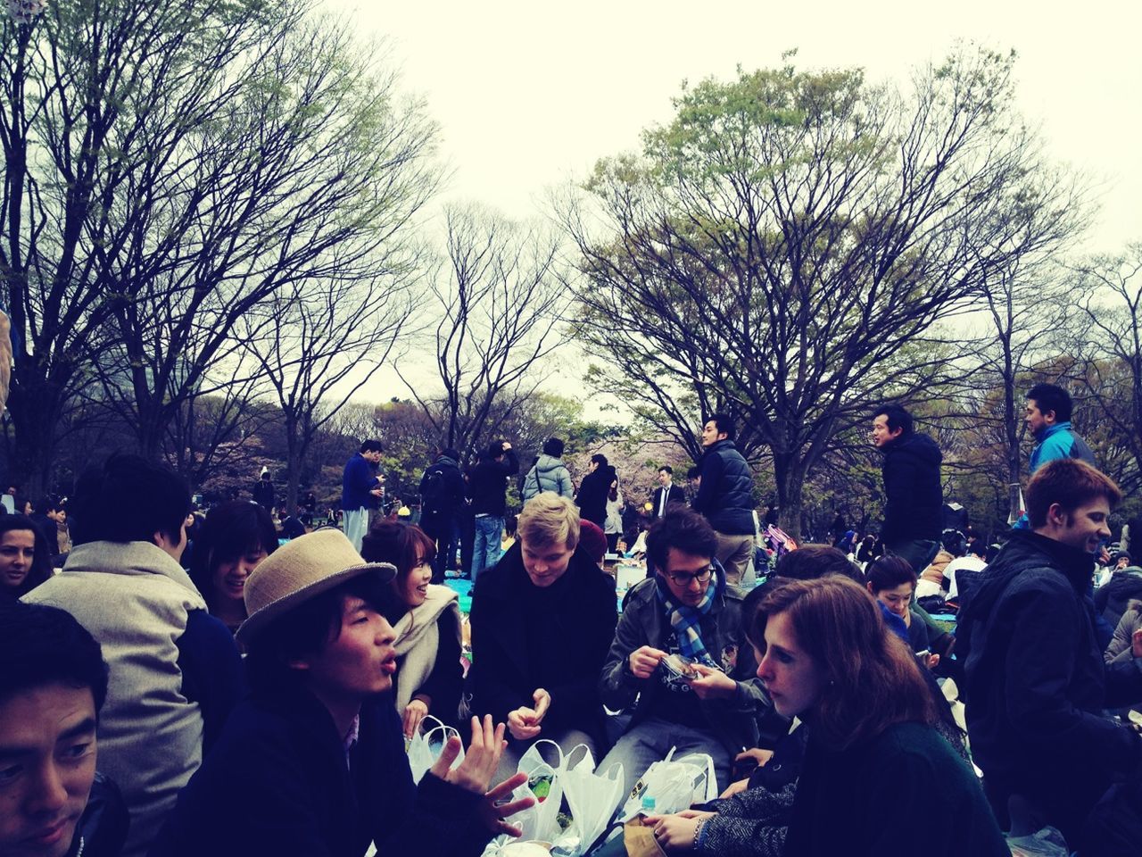 Int. party at Yoyogi park