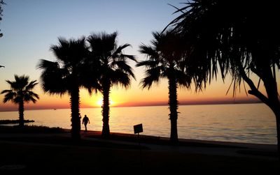 Silhouette of palm trees at sunset