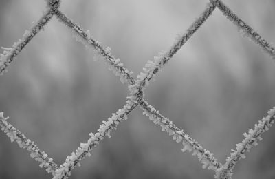 Close-up of frozen fence during winter