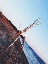 Low angle view of beach against clear sky