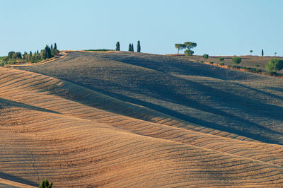 Wavy hills in tuscan farmland