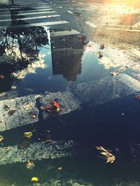 High angle view of reflection in water