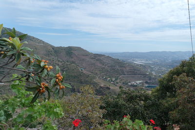 Scenic view of tree mountains against sky