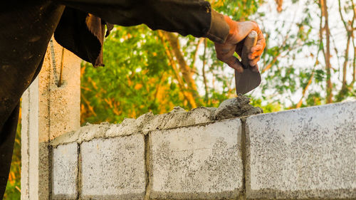 Construction worker applying cement on wall against trees