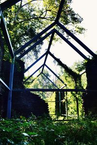 Low angle view of old house in forest against sky