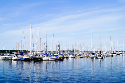 Sailboats moored at harbor against sky