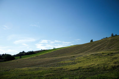 Scenic view of field against blue sky