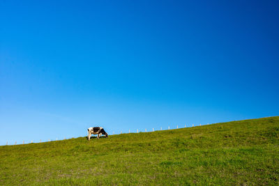 People on field against clear blue sky