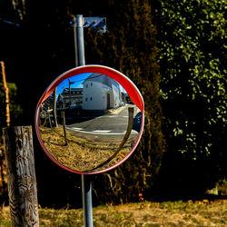 Reflection of trees on side-view mirror