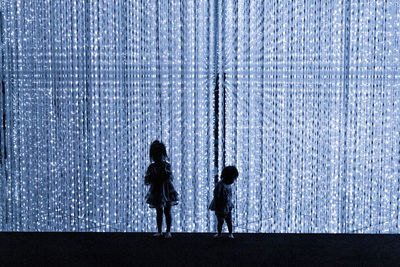 Silhouette people standing against blue sky at night