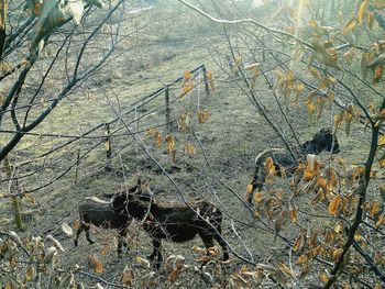 Full frame shot of white background