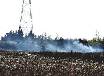 Scenic view of agricultural field against clear sky