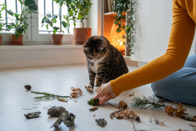 Portrait of cat sitting on table