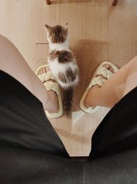 Low section of woman sitting on floor