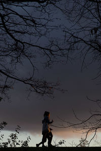 Bare tree against sky