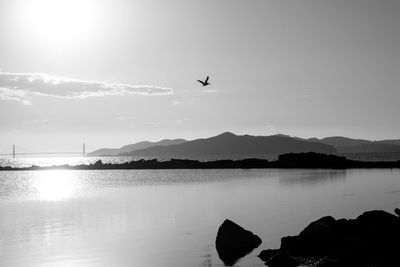 Silhouette of birds flying over lake against sky