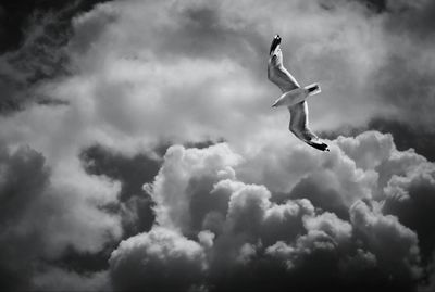 Low angle view of kite flying in sky