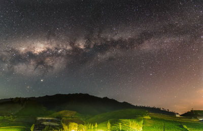 Scenic view of star field against sky at night